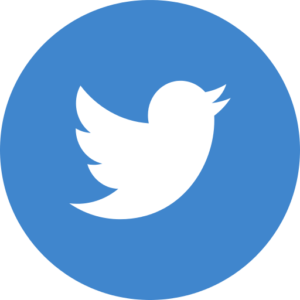 Twitter icon that leads to CITY Clean and Simple Twitter page